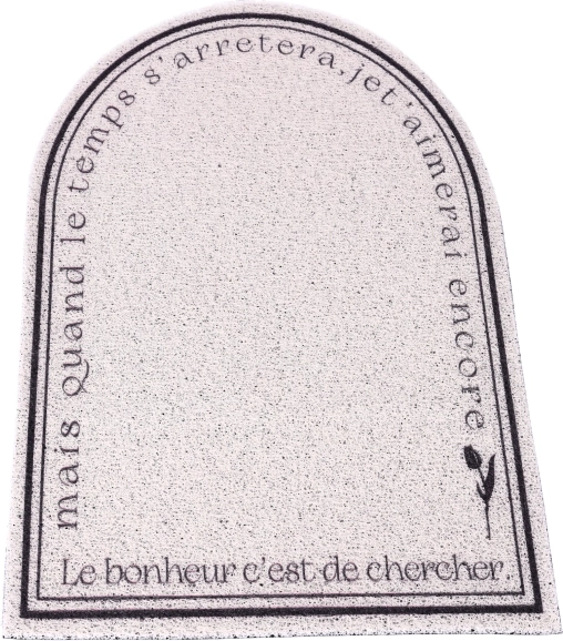 Tapis, paillasson, paillasson d’entrée antidérapant 50 x 80 cm type 4
