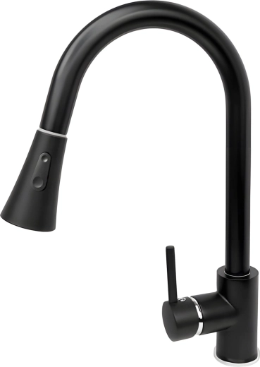 Mitigeur de cuisine Renew Force avec bras flexible et douchette extractible, noir mat