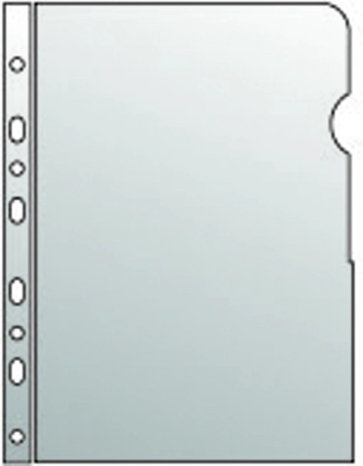 Pochette transparente pour documents A4 brillant