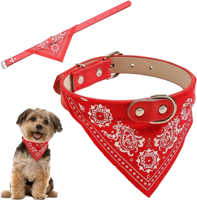 Collier avec bandana pour chiens et chats