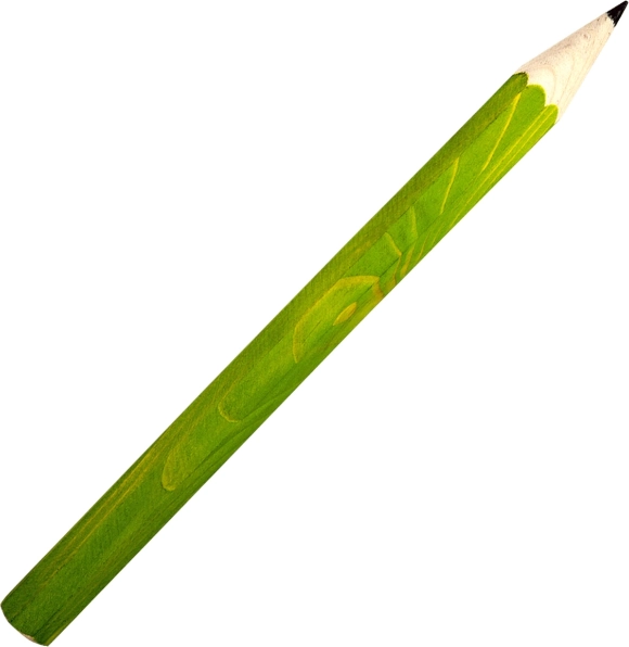 Grande Crayon en Bois Fauna Vert Clair