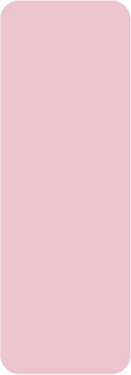 Autocollants thermiques Niimbot 14x40 mm 160 pcs – Rose