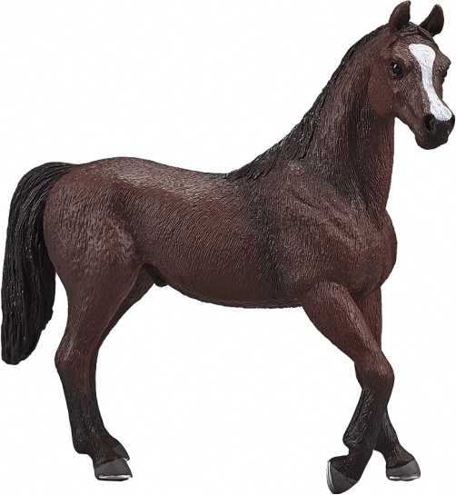 Mojo étalon arabe