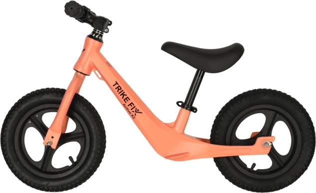Draisienne Trike Fix Active X2