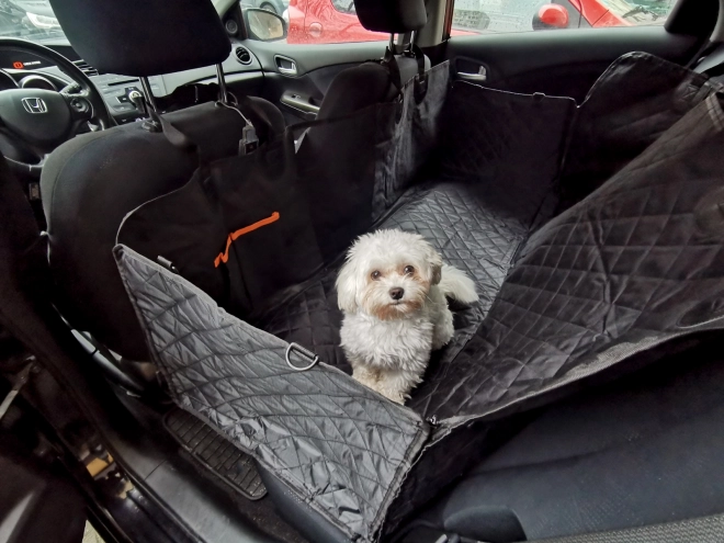 Tapis de voiture pour animaux de compagnie, housse imperméable