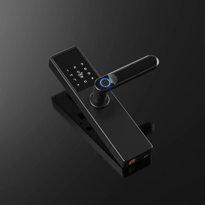 Serrure intelligente de porte Tuya, Serrure électronique de porte à empreinte digitale, code, Wi-Fi, RFID - noir