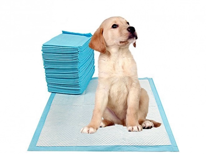 Sous-couches pour chiens en phase d'apprentissage à uriner 45x60 50 unités