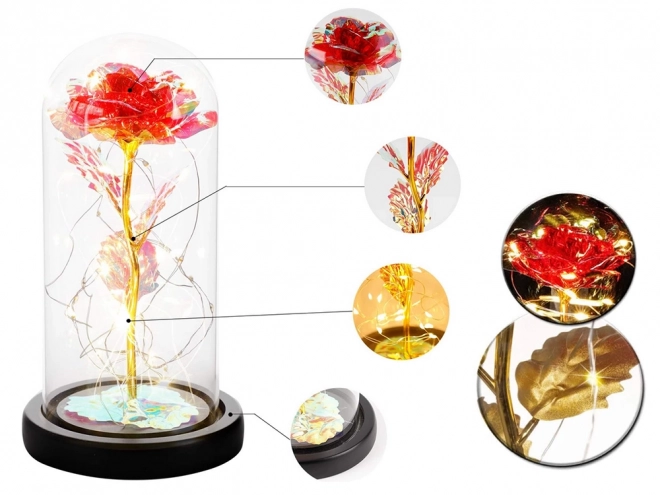 Rose éternelle sous un éclairage en verre