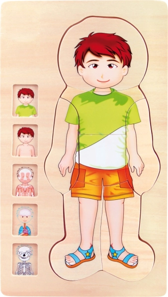 Small Foot Puzzle en bois Anatomie Tim