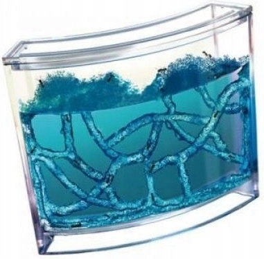 Colonie en gel transparente
