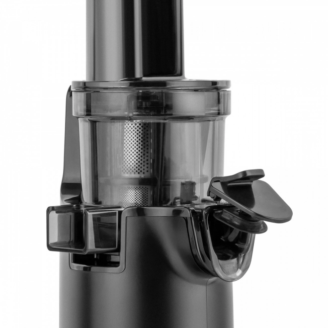 Extracteur à jus lent Teesa TSA3233