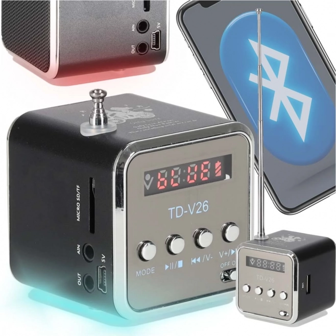 Radio portable à batterie et enceinte Bluetooth avec LCD