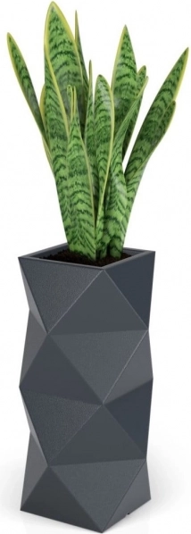 Un design géométrique moderne qui se distingue partout