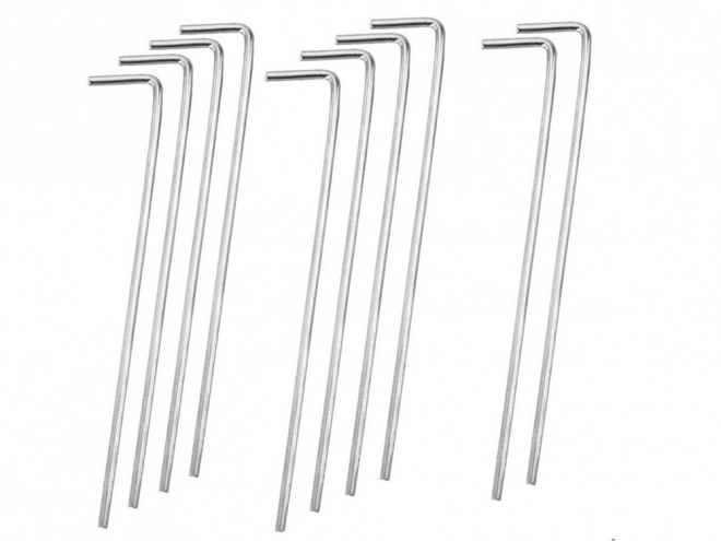 Piquets de tente en acier 24 cm 10 pièces