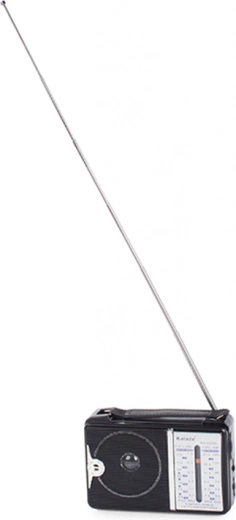 Antenne télescopique pour un signal clair