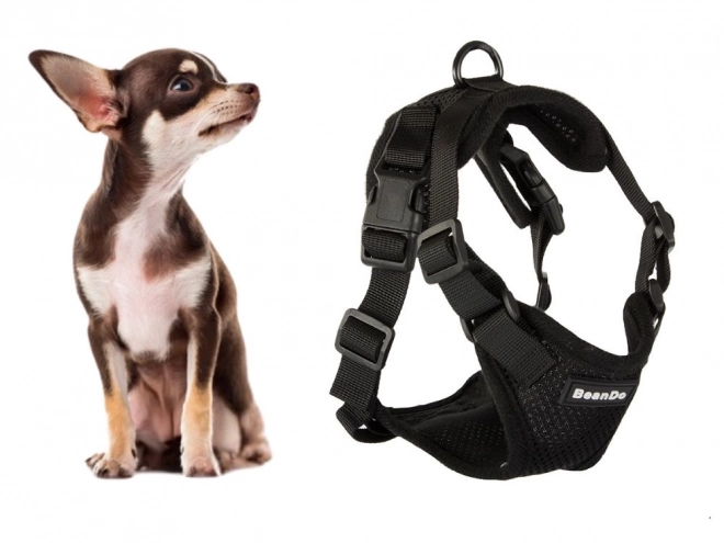 Harnais sans pression pour petites chiens