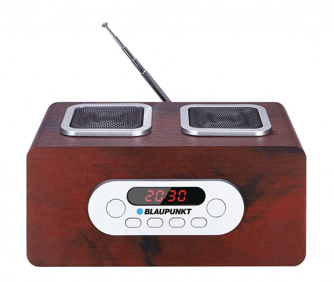 Lecteur radio portable avec SD/USB