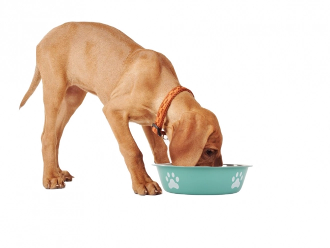 Grande gamelle en métal pour chiens et chats
