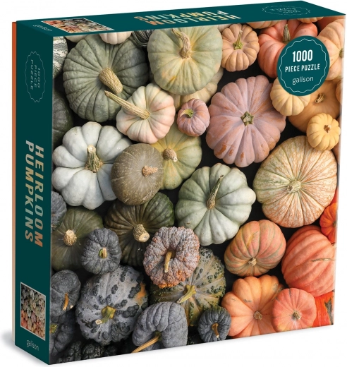 Motif premium « Heirloom Pumpkins »