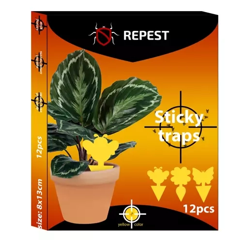 Pièges collants jaunes pour insectes 12 pcs