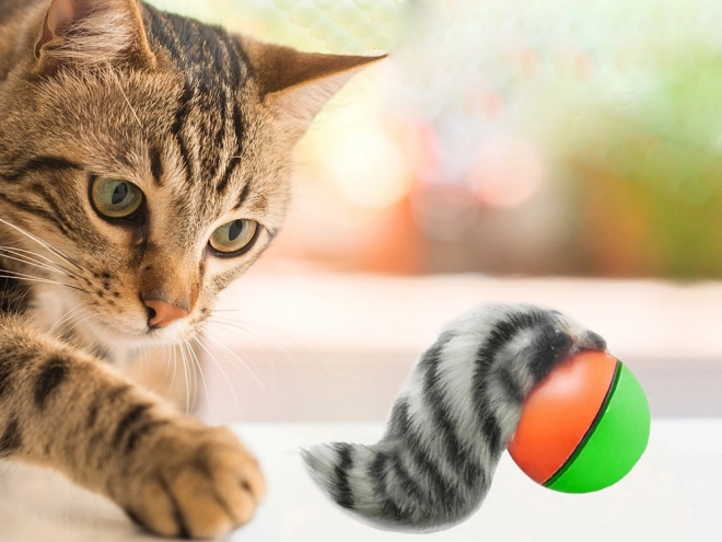 Jouet d'évasion pour chats et chiens avec balle et furet