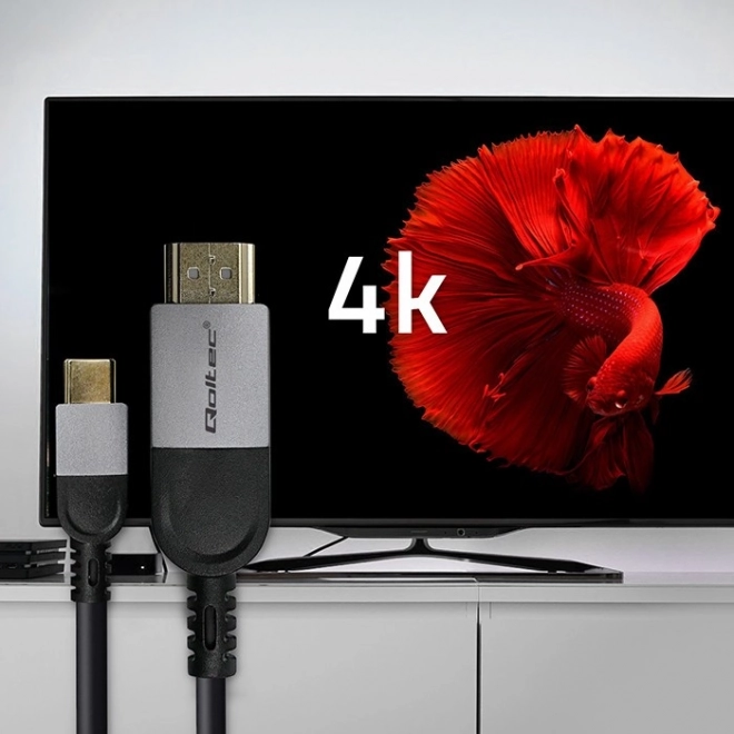 Câble USB-C vers HDMI 4K 60Hz 2m
