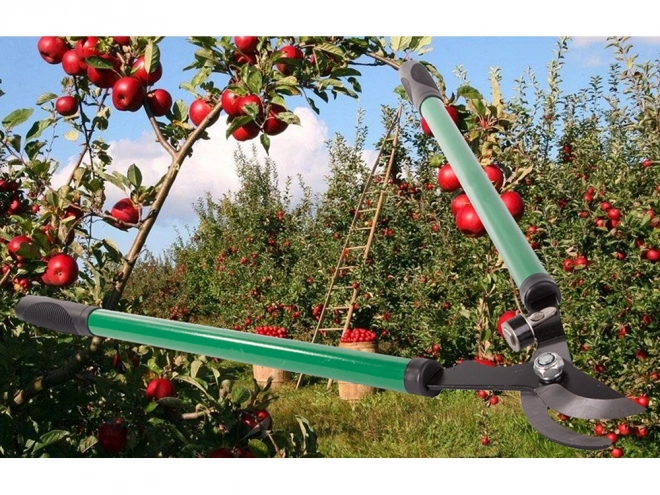 Longs sécateurs à enclume de jardin pour branches