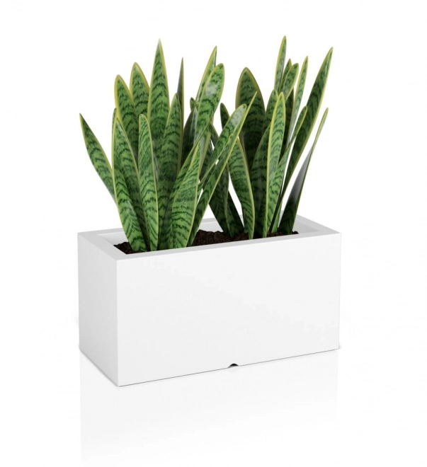 Pot de fleurs Monumo Lungo blanc