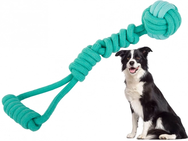 Longue corde à tirer pour chiens
