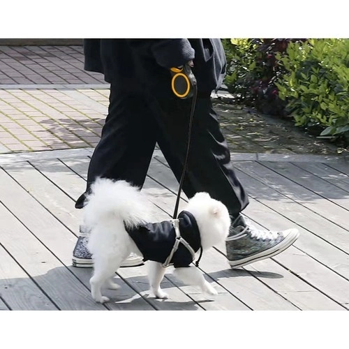 Laisse automatique pour chien 8m/50kg