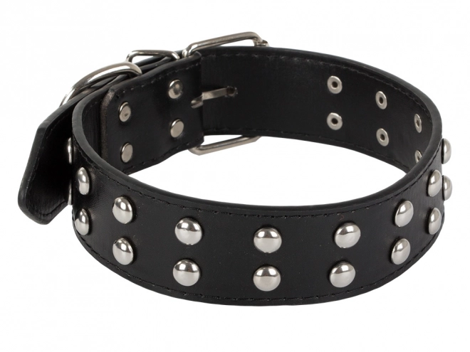 Collier ajustable pour chiens en cuir écologique avec clous métalliques