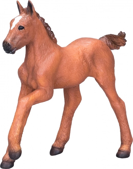 Mojo Poulain arabe bai clair