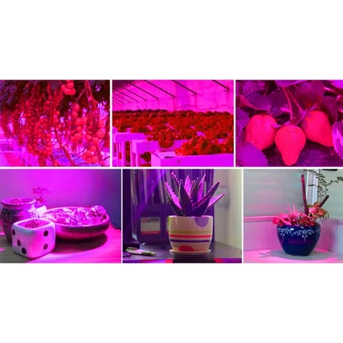 Lampe/Panneau 225 LED pour la croissance des plantes. 23525