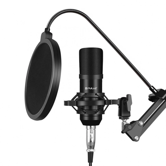 Microphone à condensateur Puluz PU612B Studio Broadcast