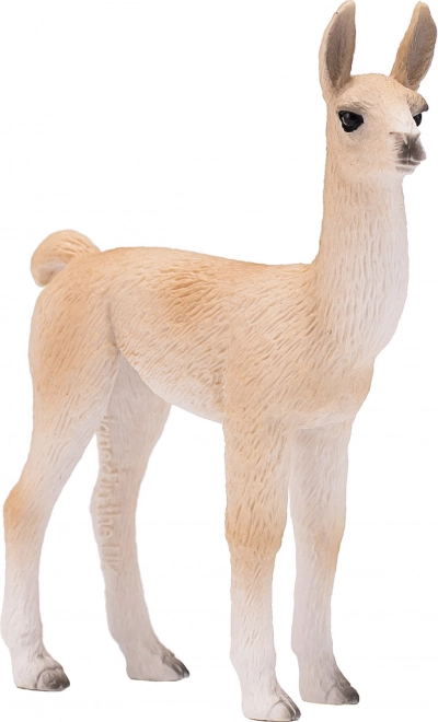 Jeune lama Mojo