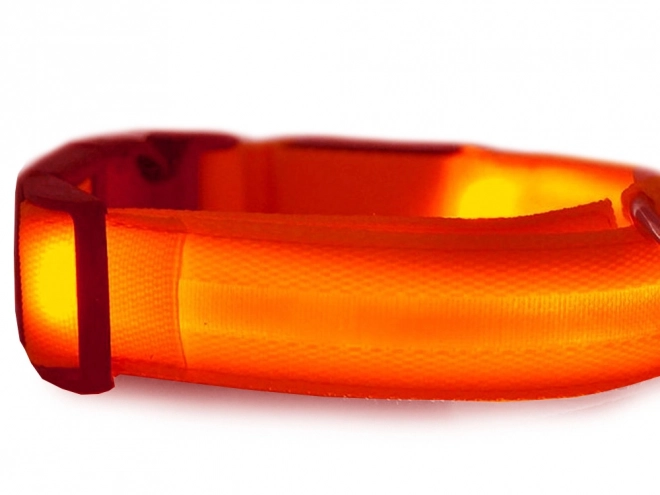 Collier lumineux LED pour animaux de compagnie