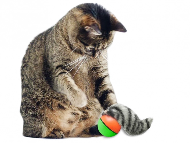 Jouet d'évasion pour chats et chiens avec balle et furet
