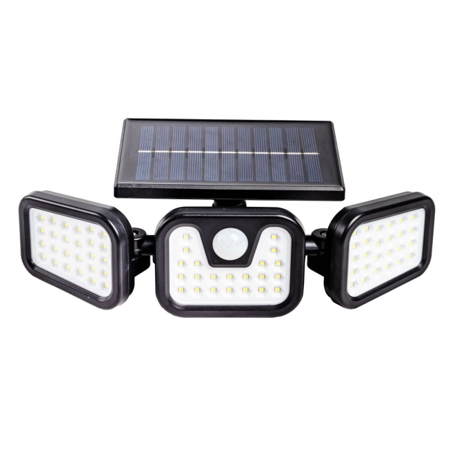 Lampe de jardin LED solaire avec capteur de mouvement