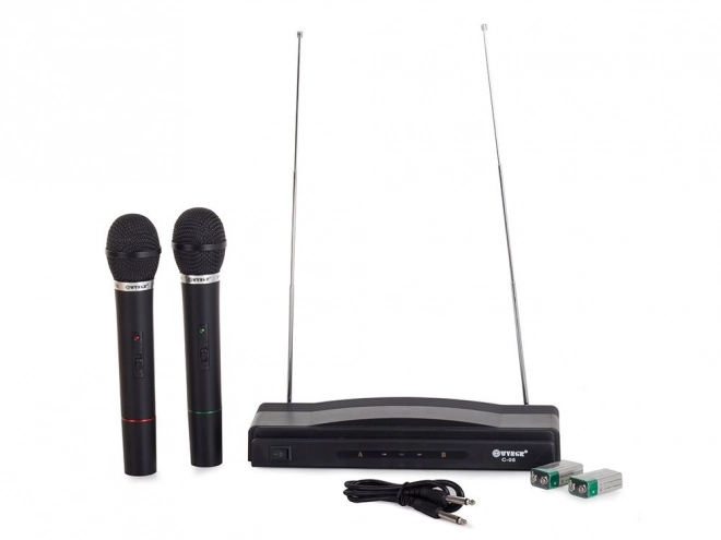 Kit de karaoké avec 2 micros sans fil et station