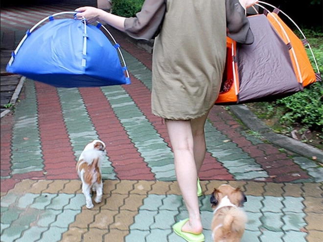 Tente pliable imperméable pour chiens