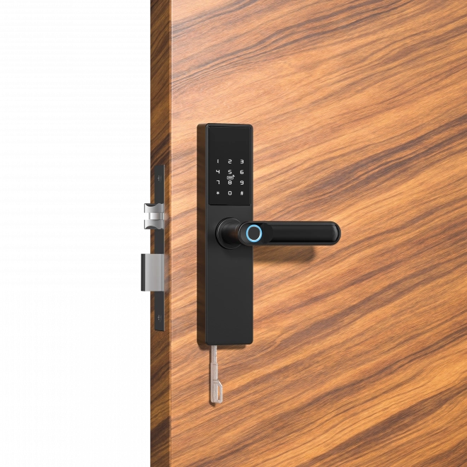 Serrure intelligente de porte Tuya, Serrure électronique de porte à empreinte digitale, code, Wi-Fi, RFID - noir