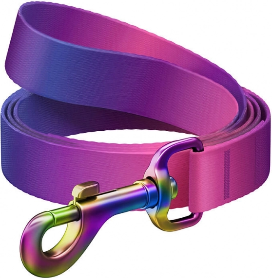 Laisse pour chiens WAUDOG gradient nylon, 15 mm de large, 122 cm de long, violet
