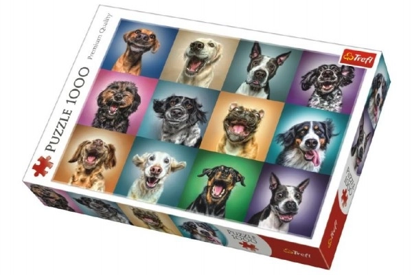 Puzzle Portraits de chiens amusants 1000 pièces 68,3x48cm dans une boîte 40x27x6cm