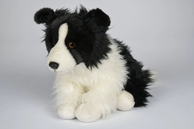 Peluche Border Collie 35 cm