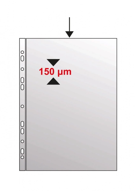 Pochette perforée A4 brillante en polypropylène 140 microns