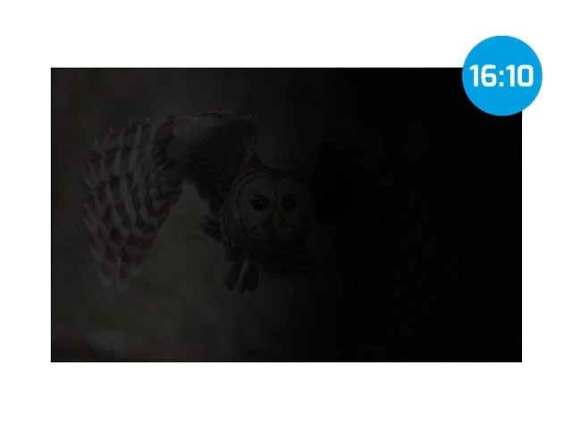 Filtre de protection des données privées Natec Owl 16 pouces 16:10