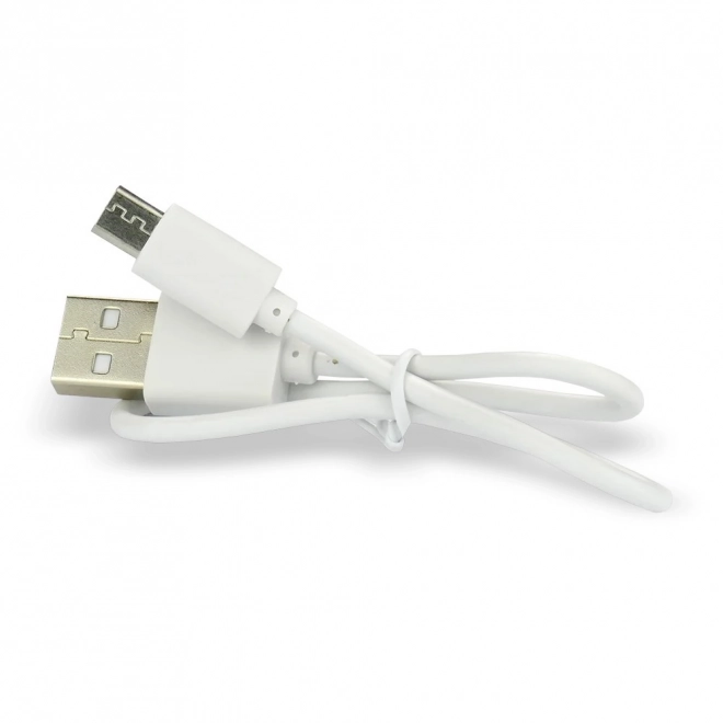 Batterie rechargeable EverActive 16340 700 mAh avec micro USB