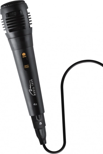 Amusement karaoké avec microphone fourni