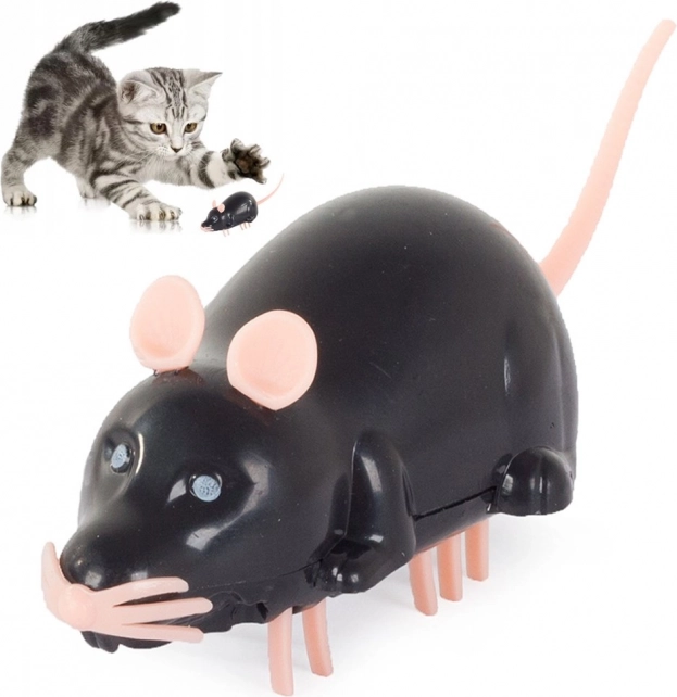 Apparence réaliste que les chats adorent