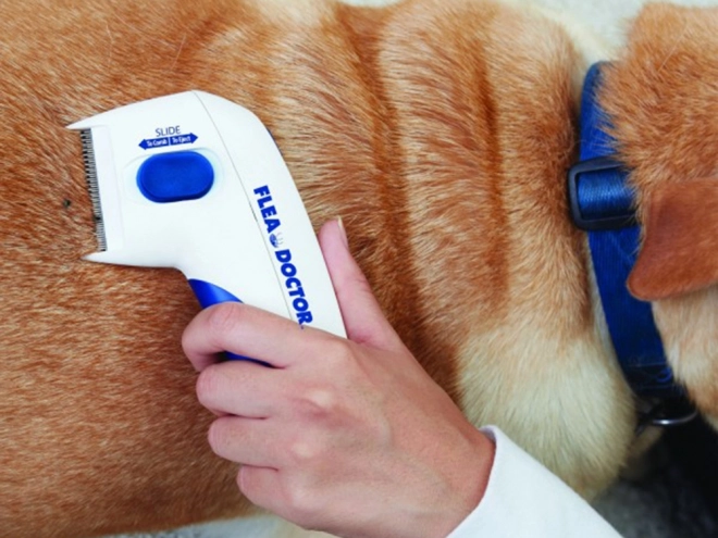 Peigne électrique anti-puces pour chiens et chats